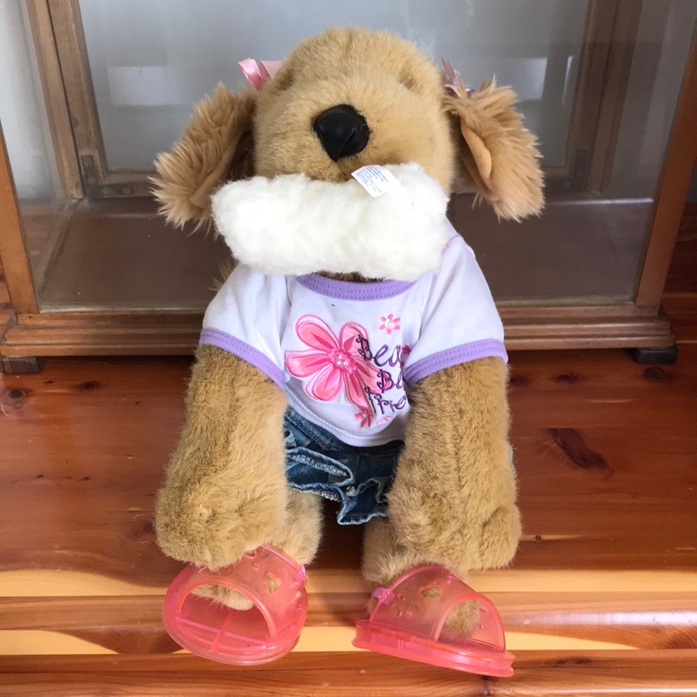 Build a Bear with outfit